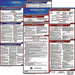 Labor Law Poster Fed/STA WA SP 20inH 3yr