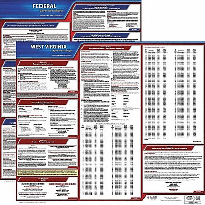 Labor Law Poster Kit WV Spanish 19 in W