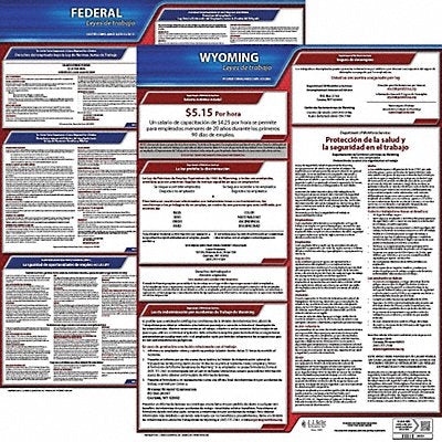 Labor Law Poster Kit WY Spanish 19 in W