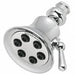 Shower Head Trumpet 2.5 gpm