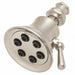 Shower Head Trumpet 2.5 gpm