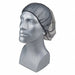H8274 Hairnet Polyester Black 24 in PK100
