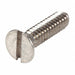 Ss Roller W/Screw 10-24X3
