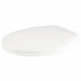 Toilet Seat Elongated Bowl Closed Front