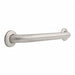Grab Bar SS Unfinished 18 in L