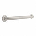 Grab Bar SS Unfinished 24 in L