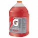 F8721 Sports Drink Mix Fruit Punch