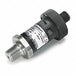 D1674 Pressure Transmitter 0 to 5000 psi 1/4 