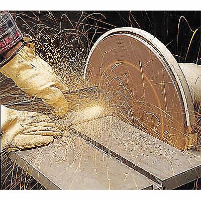 PSA Sanding Disc 12 in Dia 50 G PK10