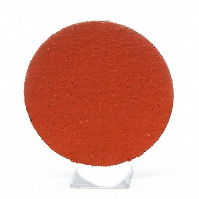 PSA Sanding Disc 12 in Dia 50 G PK10