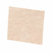 Sanding Sheet 9x6 In T G Talc PK50