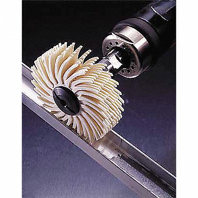 Radial Bristle Disc SR 2 In Dia PK40