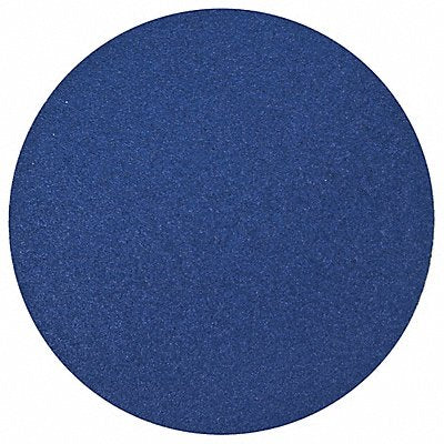 J1134 PSA Sanding Disc 10 in Dia 80 G