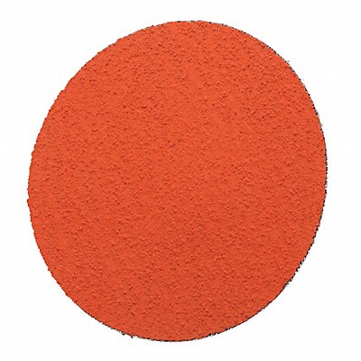 PSA Sanding Disc 12 in Dia 80 G PK10