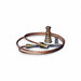 Thermocouple 36 In