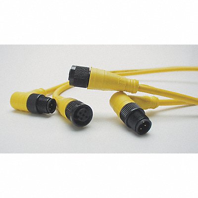 Cordset 4 Pin Plug Male