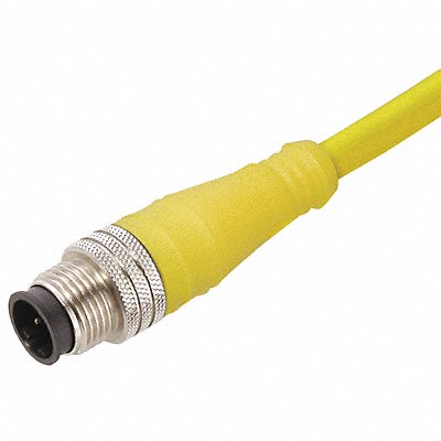 Cordset 4 Pin Plug Male