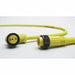 Cordset 2 Pin Plug Male