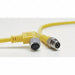 Cordset 4 Pin Plug Male