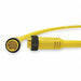 Cordset 7 Pin Receptacle Male