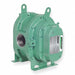 Positive Displacement Blower 2 in FNPT