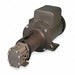 Rotary Gear Pump 3/4 HP 1 Phase