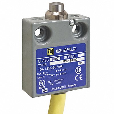 Limit Switch 240Vac 10Amp Ms +Options