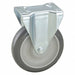 Standard Plate Caster Rigid 315 lb.