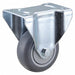 Standard Plate Caster Rigid 210 lb.