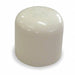 Cap CTS 40 1/2 in Slip
