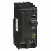 Circuit Breaker 100A Plug In 120/240V 2P