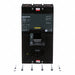 Circuit Breaker 300A 2P 600VAC LA