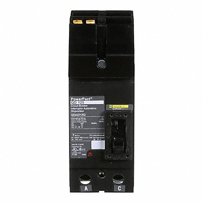 Circuit Breaker 125A 2P 240VAC QD