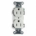 Recept White 15 A 2P3W Back Side 1PK