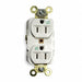 Recept White 15 A 2P3W Back Side 1PK