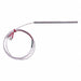 Surface Probe RTD Pt 100 Ohm 12 In L