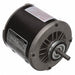 Evaporative Cooler Motor 115V CCWLE Ball