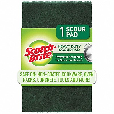 Scouring Pad 6 in L Green PK24