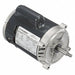 Motor 1/2 HP 3 450 rpm 56J 115/230V