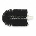 Floor Drain Brush 5 3/4 in Brush L