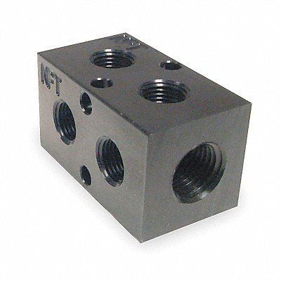 Manifold BLK Alum 2Outlets 2.13 L