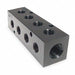 Manifold BLK Alum 4Outlets 4.75 L