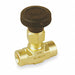 Needle Valve Straight Brass 1/4 in FNPT