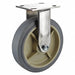 Standard Plate Caster Rigid 500 lb.