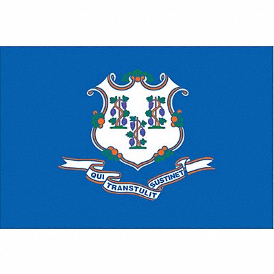 D3761 Connecticut State Flag 3x5 Ft