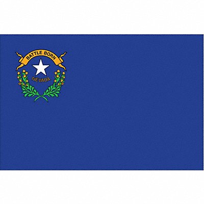 D3761 Nevada State Flag 3x5 Ft