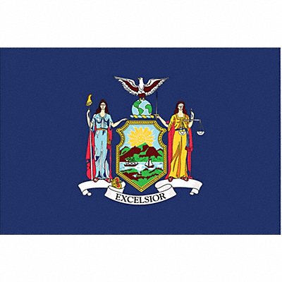 D3761 New York State Flag 3x5 Ft