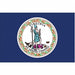 D3761 Virginia State Flag 3x5 Ft