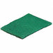 Scrubber Sponge 9 in L Green PK15