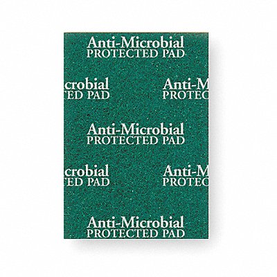Scouring Pad 8 7/8 in L Green PK20